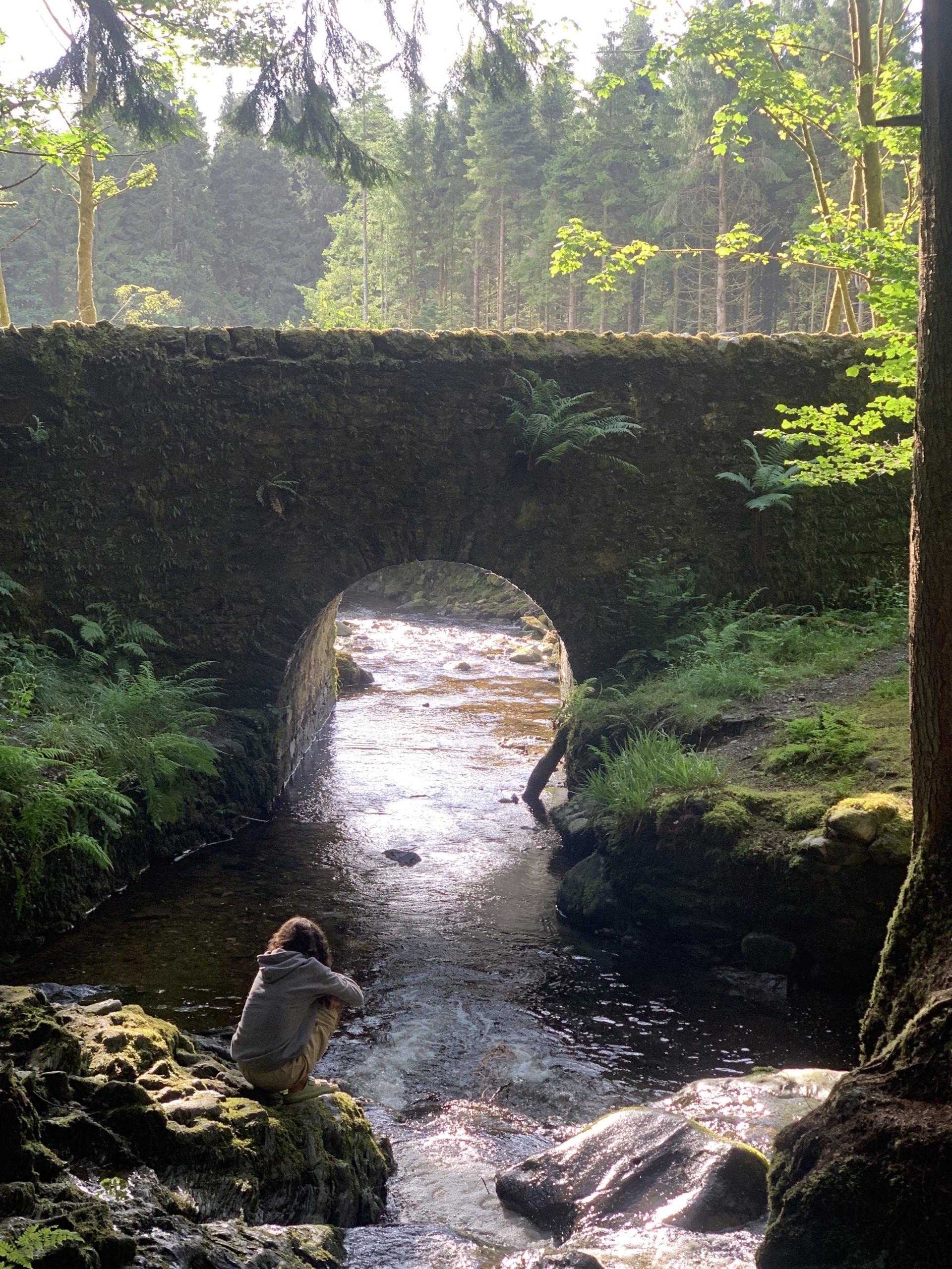 Picture of a boy sitting on a rock looing into the flowing river under a bridge in Stirling
